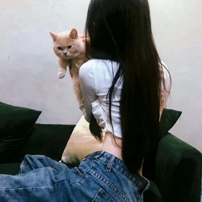 太阳花